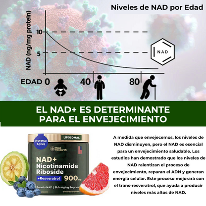 Antiedad y potenciador | NAD Nicotinamide